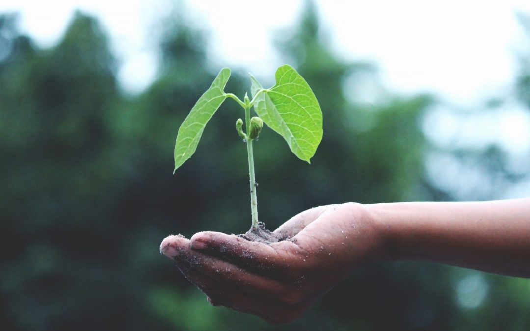 Securing Change: Continue and Grow