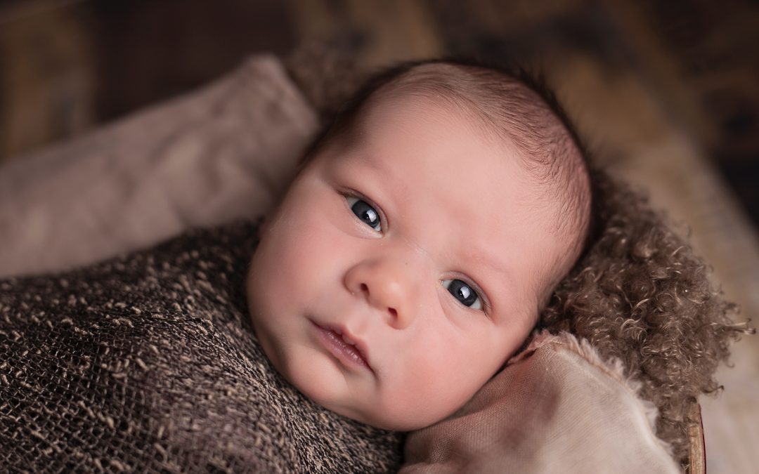 “A leadership role while working directly with families”