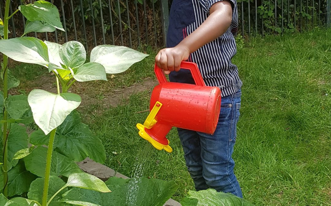 Securing Change: what we’re learning